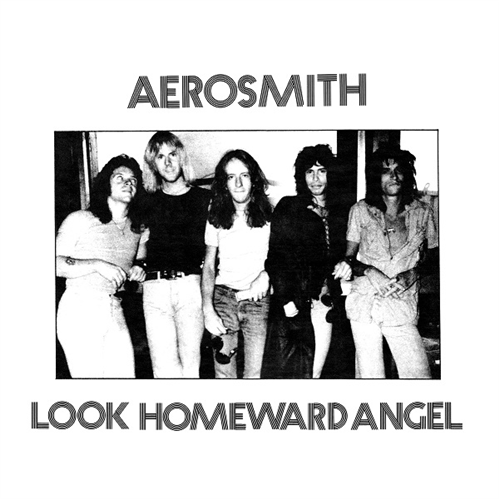 Look Homeward Angel cover