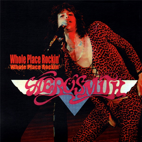 Whole Place Rockin' cover