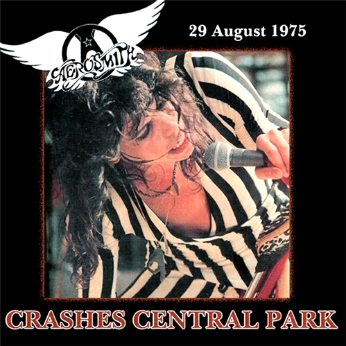 Crashes Central Park cover