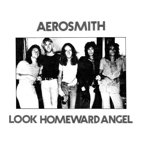 Look Homeward Angel cover