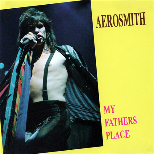 My Fathers Place cover